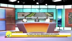 Le trafic de faux médicaments en Afrique : Un os dans la gorge des décideurs politiques ?