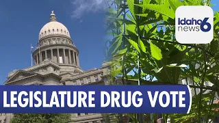 Idaho Voters Decide Who Controls Marijuana Legalization