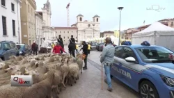 L'Aquila: Coldiretti Village kicks off in Piazza Duomo