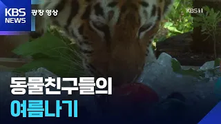 [뉴스광장 영상] 동물친구들의 여름나기 / KBS  2026.08.08.