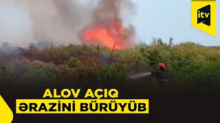 Lənkəranda yanğın: alov açıq ərazini bürüyüb