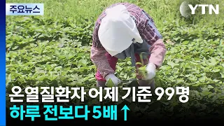 온열질환자 어제 기준 99명...하루 전보다 5배↑ / YTN