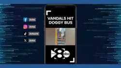 Короткие истории: Автобус для присмотра за собаками подвергся вандализму | 1 апреля 2026 г.