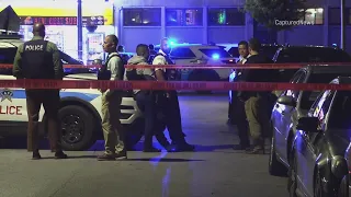 Chicago police shoot and kill dog after they say it attacked officers in Humboldt Park late Monday a