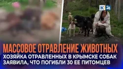 Хозяйка отравленных в Крымске собак заявила, что погибли 30 ее питомцев