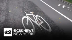 Cyclist killed in Central Park crash slammed brakes to avoid hitting dog, police say