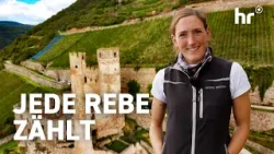 Handarbeit im Steilhang: Wie Riesling im Rheingau entsteht