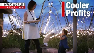 Japan after dark: Businesses beat the heatーNHK WORLD-JAPAN NEWS