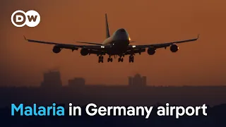Third malaria death linked to Frankfurt Airport outbreak | DW News