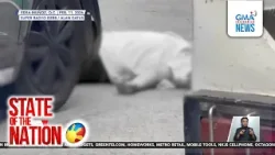 Driver who hit student in LRT-1 fall released by police | SONA Driver who hit student in LRT-1 fall released by police | SONA