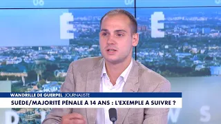Wandrille de Guerpel: "Sweden has realized that delinquency is getting younger"
