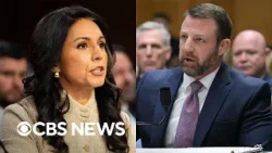 Gabbard and Mullin testify before Senate, Fed holds interest rates steady, more | The Takeout Gabbard and Mullin testify before Senate, Fed holds interest rates steady, more | The Takeout