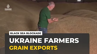 Ukraine farmers struggle as Russia's Black Sea blockade traps their grain