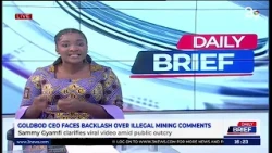 “They’re Misleading the Public” - GoldBod on Sammy Gyamfi Video