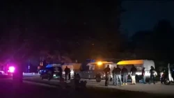 76 dogs rescued from suspected hoarding situation in Lemont