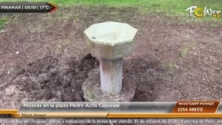 Arreglos en plazas de Pinamar