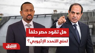 هل تقود مصر حلفاً قارتياً لمنع التمدد الإثيوبي؟ - أخبار الشرق