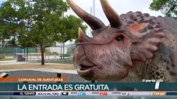 La capital ofrece actividades y aventuras para quienes no salen a carnavalear