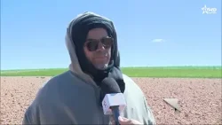 إقليم شيشاوة  : انتعاش الأنشطة الفلاحية والزراعية والرعوية بعد التساقطات المطرية الأخيرة