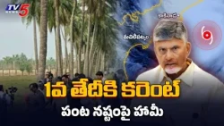 Major Relief After Cyclone Arnab..! Naidu Cyclone Arnab Power by Nov 1 || TV5 News
