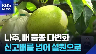 Climate Crisis and Declining Consumption… Responding Through Variety Diversification / KBS 08/21/...