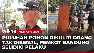 Pohon di Bandung Dikuliti OTK, Begini Kondisinya | Metropolitan