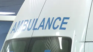 Kosova regjistron viktimën e parë nga virusi i Nilit Perëndimor