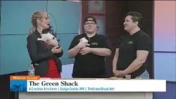 Зелёная хижина (Додж-центр): ремесла, керамика, животные — и большая охота за пасхальными яйцами.