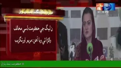 Opponents of the PML-N government have gone mad: Maryam Aurangzeb | Sindh TV News