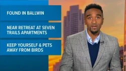 2 ducks test positive for bird flu in Ballwin