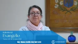 Gospel Reflection | October 20