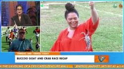 Краткий обзор гонок коз и крабов в Букку Краткий обзор гонок коз и крабов в Букку