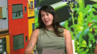 TDT 18 08 2026