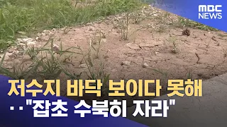 Reservoir Bed Exposed... "Now Overgrown With Weeds" (08/13/2026/News 25/MBC)