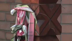 Krónika: A kommunizmus áldozataira emlékeztek Rákosmentén (2026.02.27.) Krónika: A kommunizmus áldozataira emlékeztek Rákosmentén (2026.02.27.)