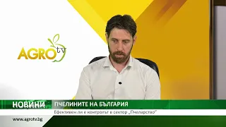 ПЧЕЛИНИТЕ НА БЪЛГАРИЯ: Ефективен ли е контролът в сектор „Пчеларство“