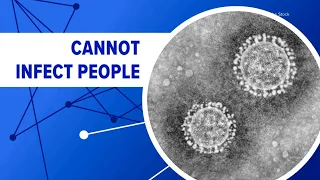 AI can design new viruses. Should we be worried?