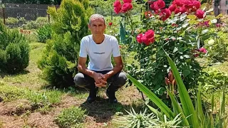 მკვლელობა გურიაში - 63 წლის ქალის მკვლელობაში ბრალდებული მისი მეზობელი აღმოჩნდა
