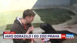 Prima ROK: Jaro dorazilo i do ZOO Praha