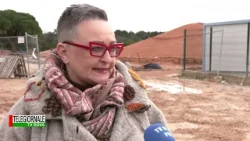 Telegiornale 24.02.2026.