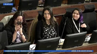 Comisión de la Mujer y Equidad de Género - 13 de Agosto de 2026