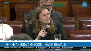 VANESA SILEY 2 – BICAMERAL COMMITTEE ON LEGISLATIVE PROCEDURES 09-01-26
