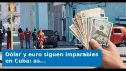 VIDEO: Dollar and euro remain unstoppable in Cuba: how the informal market closes this Saturday