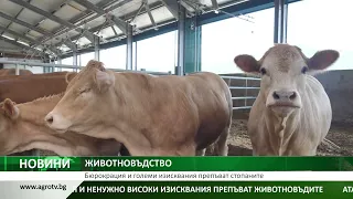 Централна емисия новини на Агро ТВ: исканията на овощарите, проблемите в животновъдството