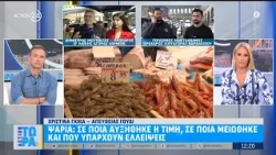 Θα ξαναφάμε ψάρια; Οι αυξήσεις τιμών, οι μειώσεις και οι ελλείψεις της αγοράς | ACTION 24