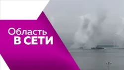 Программа"Область в сети" №265