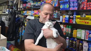 ‘Tears of joy': Jabal, beloved Brooklyn bodega cat, returned after community uproar
