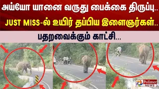 அய்யோ யானை வருது பைக்கை திருப்பு.... JUST MISS-ல் உயிர் தப்பிய இளைஞர்கள்.. பதறவைக்கும் காட்சி...