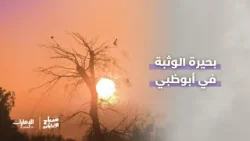 بحيرة الوثبة .. سحر وجمال الطبيعة في #أبوظبي | #صباح_الإمارات