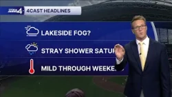 Stray Shower Saturday